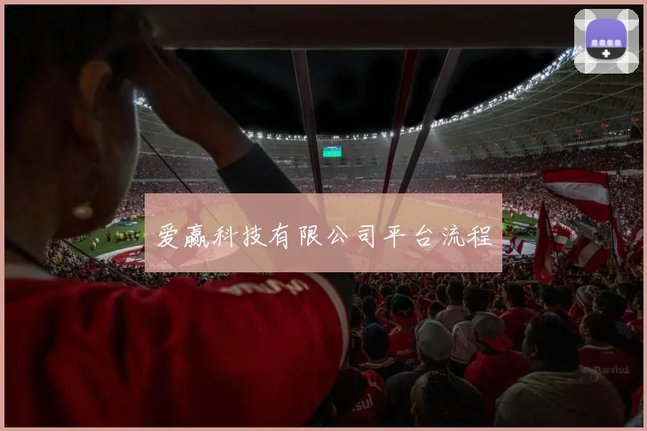 爱赢科技有限公司平台流程