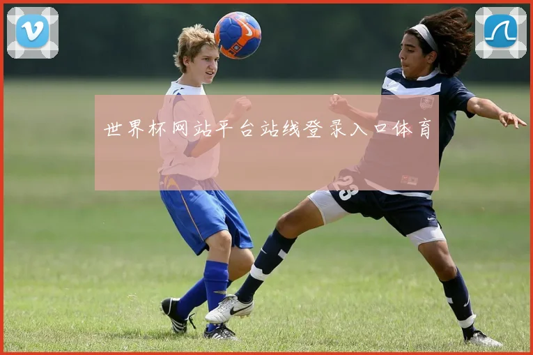 世界杯网站平台站线登录入口体育