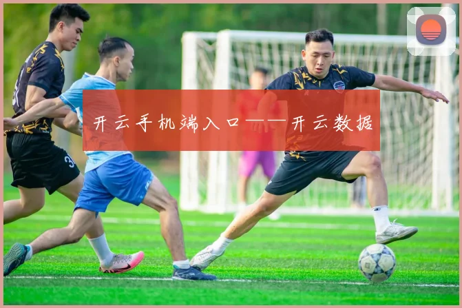 开云手机端入口——开云数据
