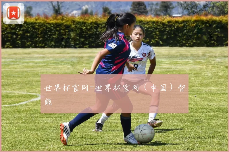 世界杯官网-世界杯官网（中国）智能