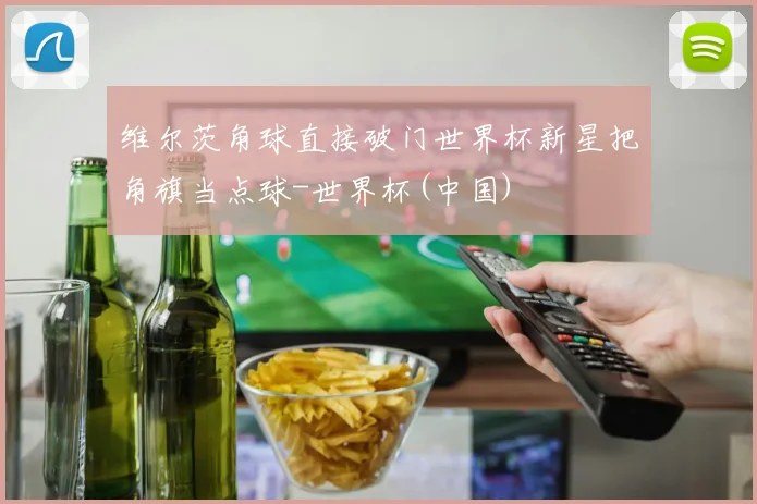 维尔茨角球直接破门世界杯新星把角旗当点球-世界杯(中国)
