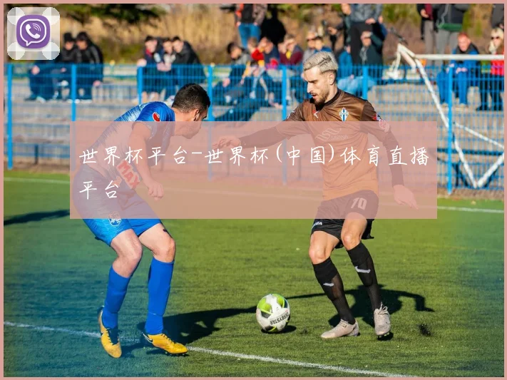 世界杯平台-世界杯(中国)体育直播平台