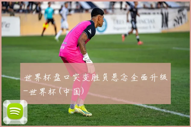 世界杯盘口突变胜负悬念全面升级-世界杯(中国)