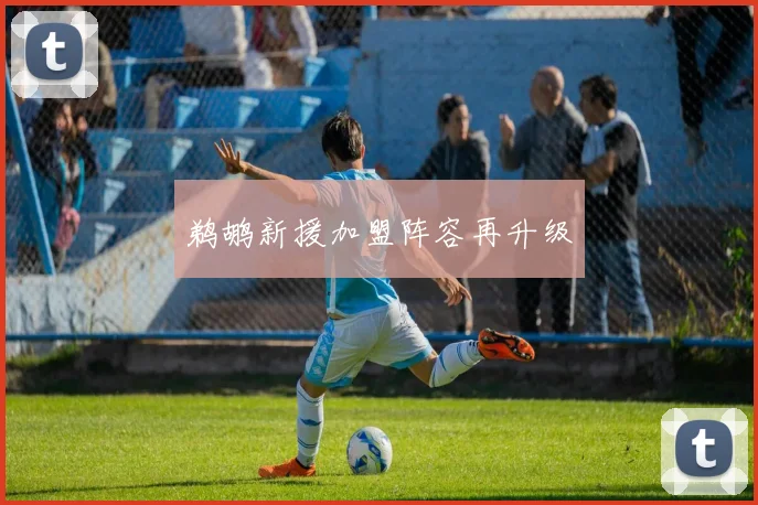 鹈鹕新援加盟阵容再升级