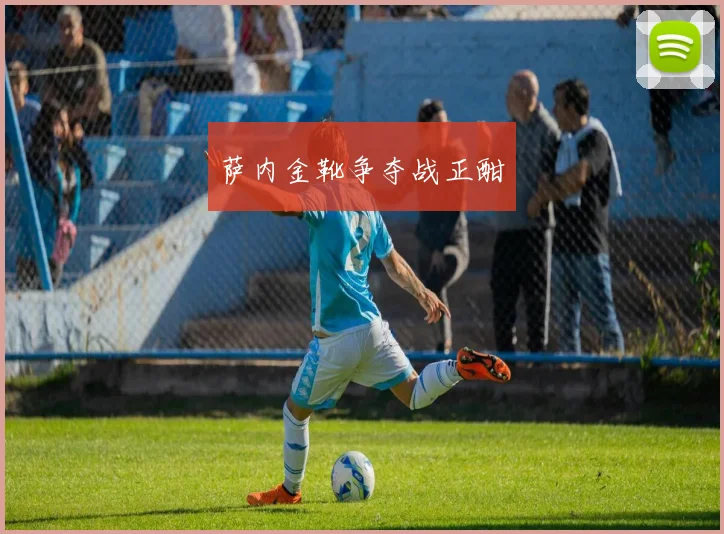 萨内金靴争夺战正酣