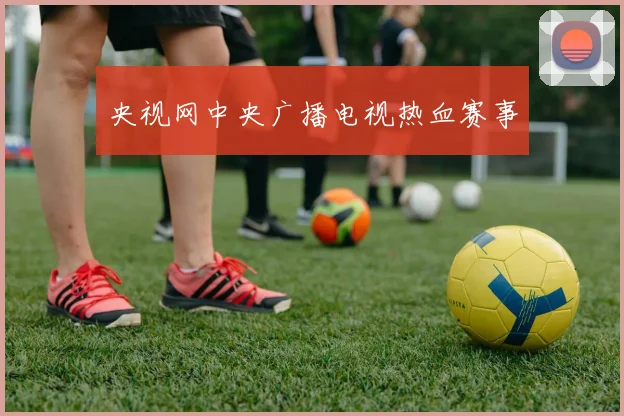 央视网中央广播电视热血赛事