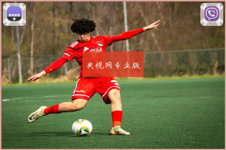 央视网专业版