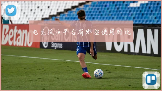 电竞投注平台有哪些使用对比