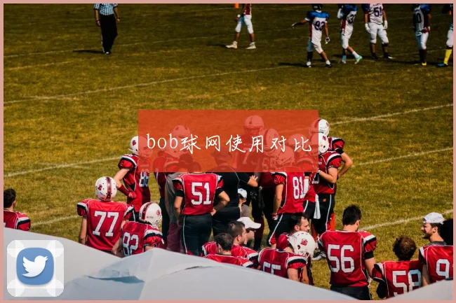 bob球网使用对比