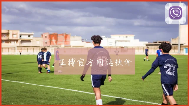 亚搏官方网站软件