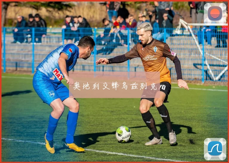 奥地利交锋乌兹别克
