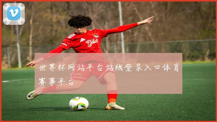 世界杯网站平台站线登录入口体育赛事平台