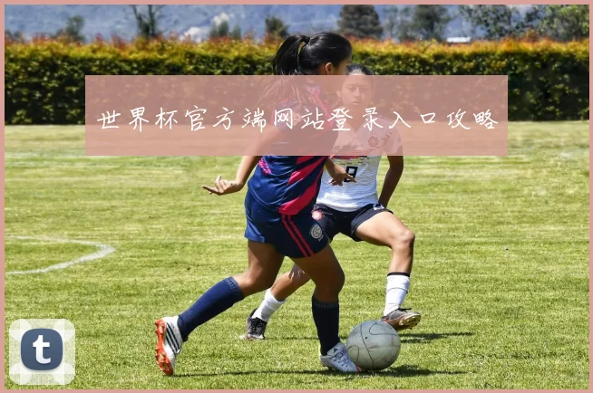 世界杯官方端网站登录入口攻略