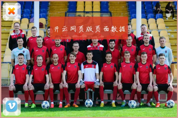 开云网页版页面数据