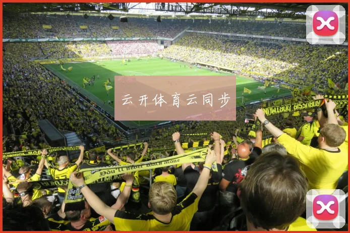 云开体育云同步