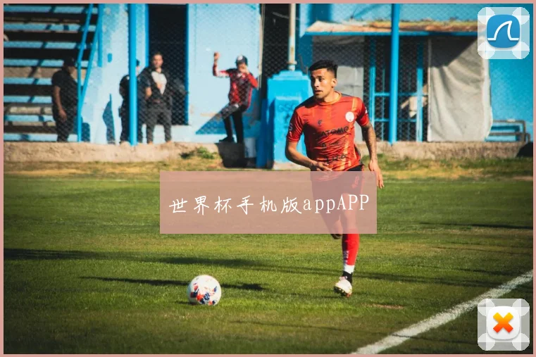 世界杯手机版appAPP