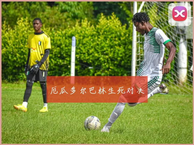 厄瓜多尔巴林生死对决
