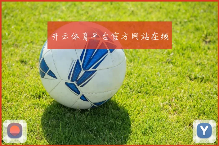 开云体育平台官方网站在线