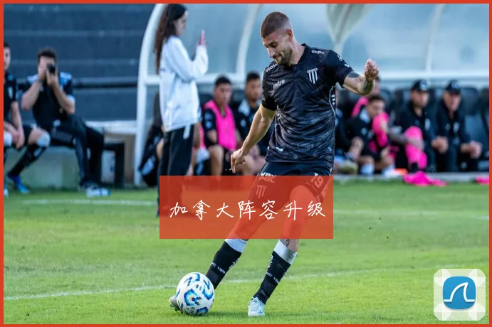 加拿大阵容升级