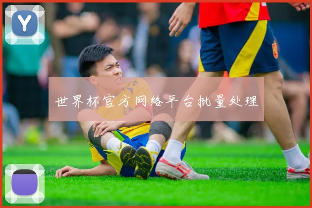 世界杯官方网络平台批量处理
