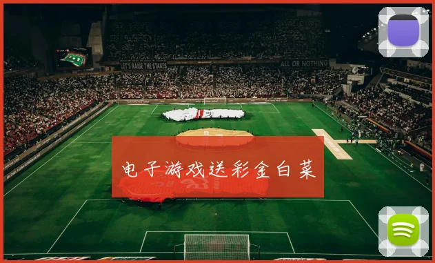 电子游戏送彩金白菜