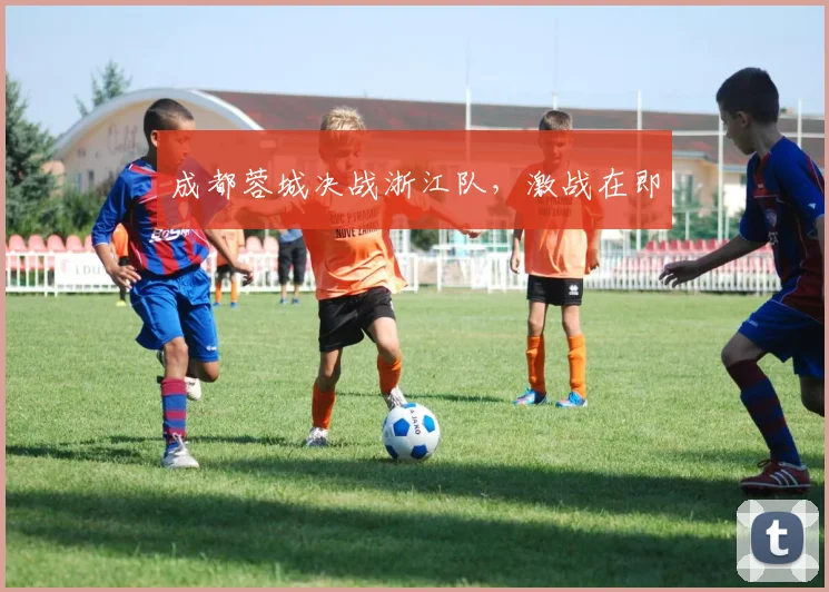 成都蓉城决战浙江队，激战在即