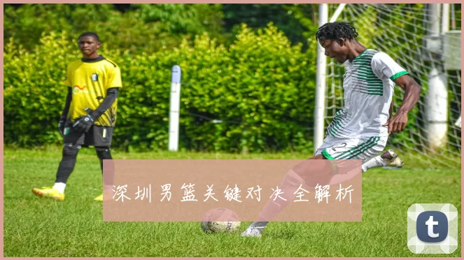 深圳男篮关键对决全解析