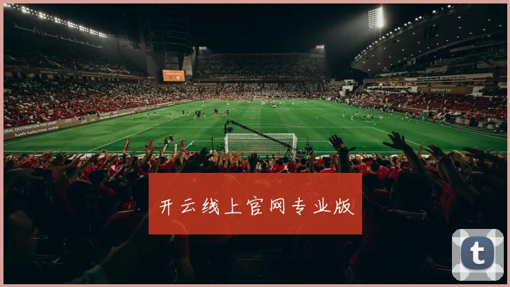 开云线上官网专业版