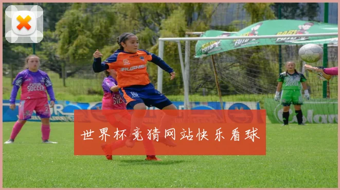 世界杯竞猜网站快乐看球