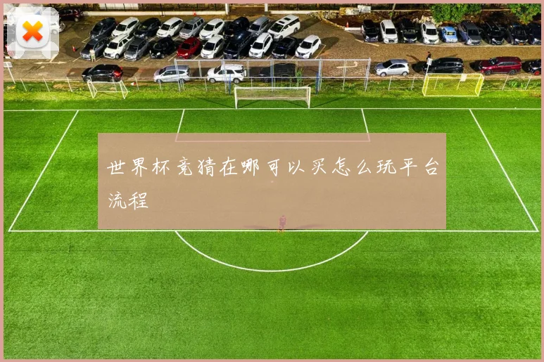 世界杯竞猜在哪可以买怎么玩平台流程