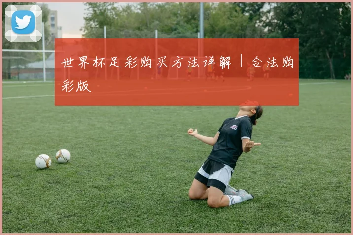 世界杯足彩购买方法详解｜合法购彩版