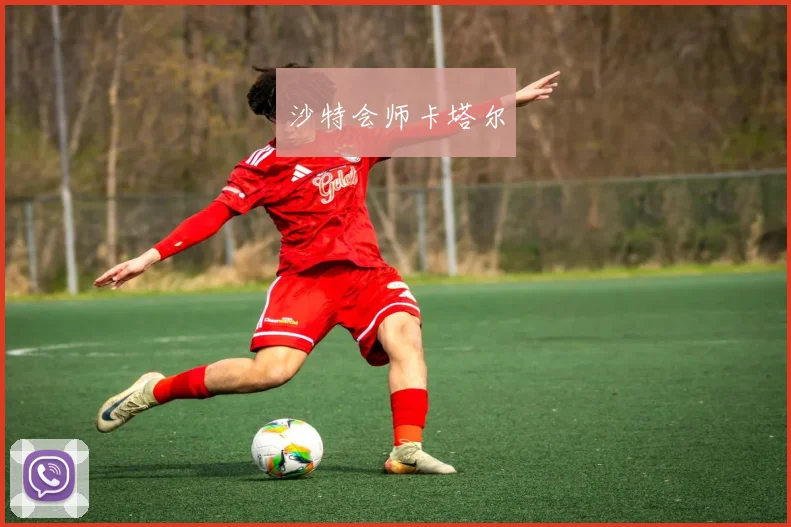沙特会师卡塔尔
