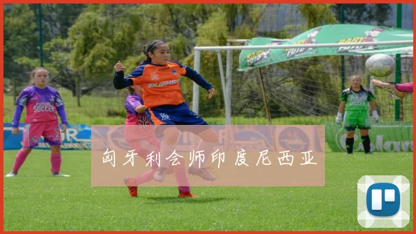 匈牙利会师印度尼西亚