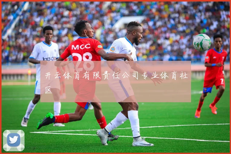 开云体育有限责任公司专业体育社区