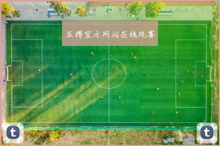 亚搏官方网站在线观赛