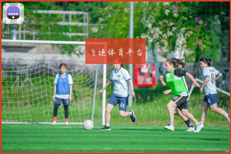 飞速体育平台