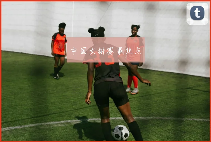 中国女排赛事焦点