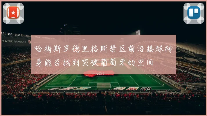 哈梅斯罗德里格斯禁区前沿接球转身能否找到突破葡萄牙的空间