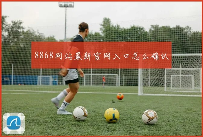 8868网站最新官网入口怎么确认